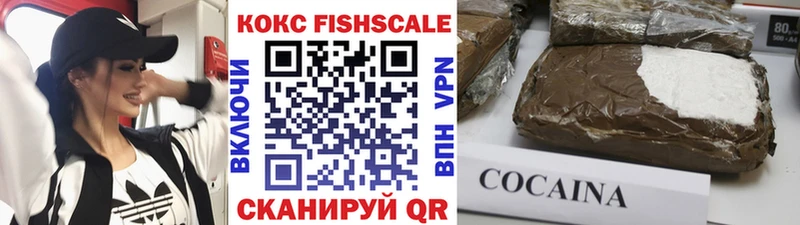 Купить  Дмитров  COCAIN Fish Scale 