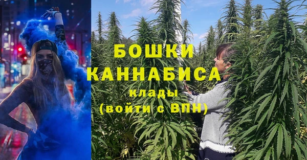 мдпв Волосово