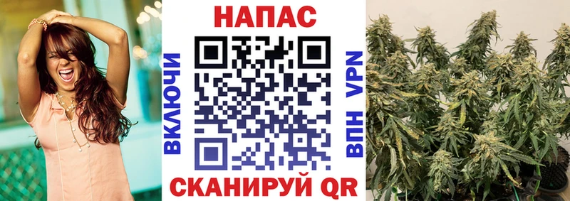 Марихуана планчик Купить закладки Дмитров